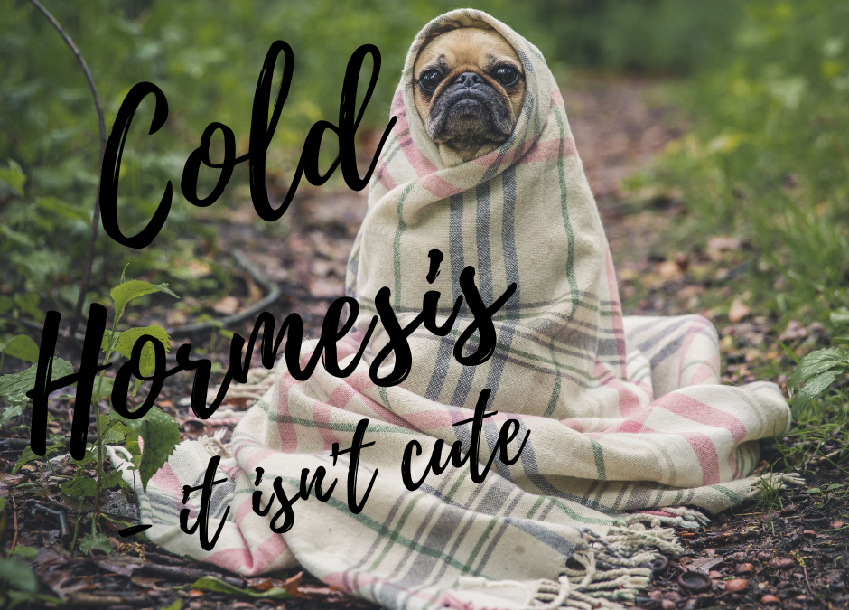 Cold Hormesis