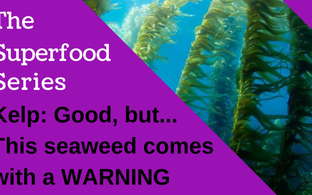 Kelp the Superfood Seaweed, Benefits and Dangers